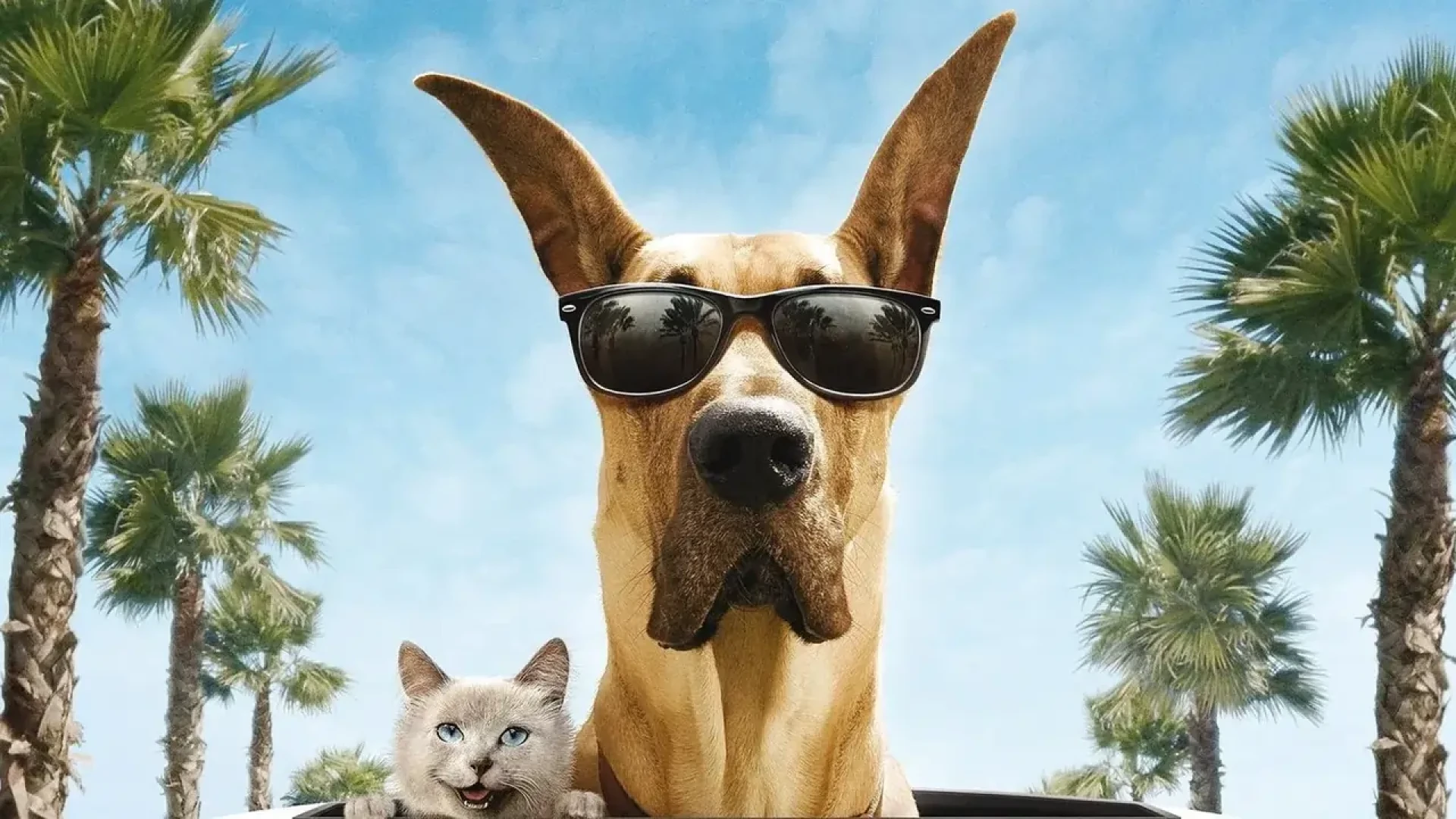 دانلود فیلم Marmaduke 2010