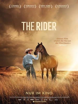 دانلود فیلم The Rider 2017