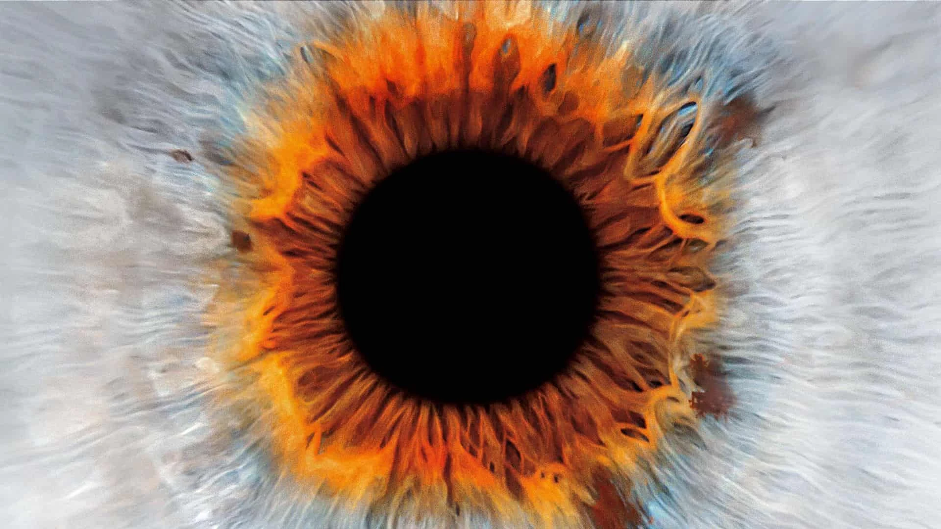 دانلود فیلم I Origins 2014