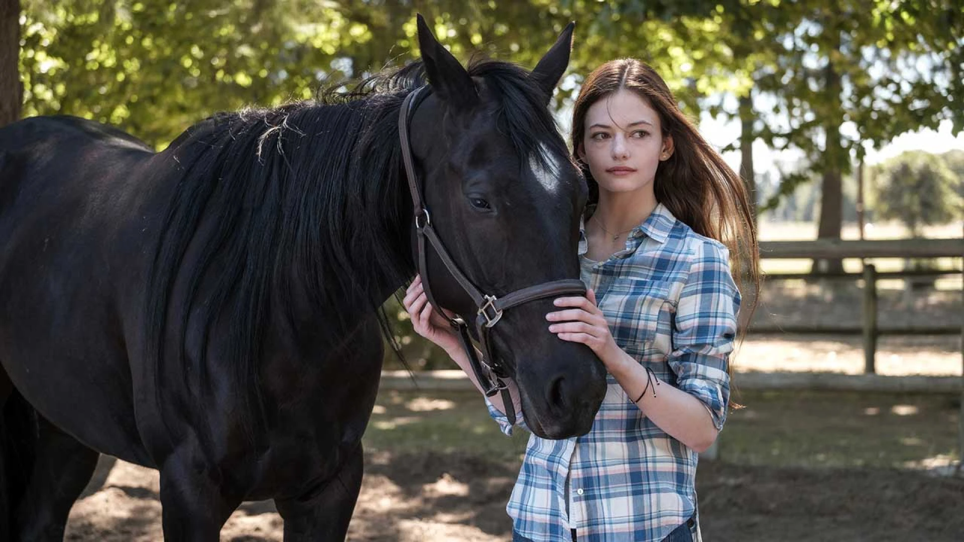 دانلود فیلم Black Beauty 2020