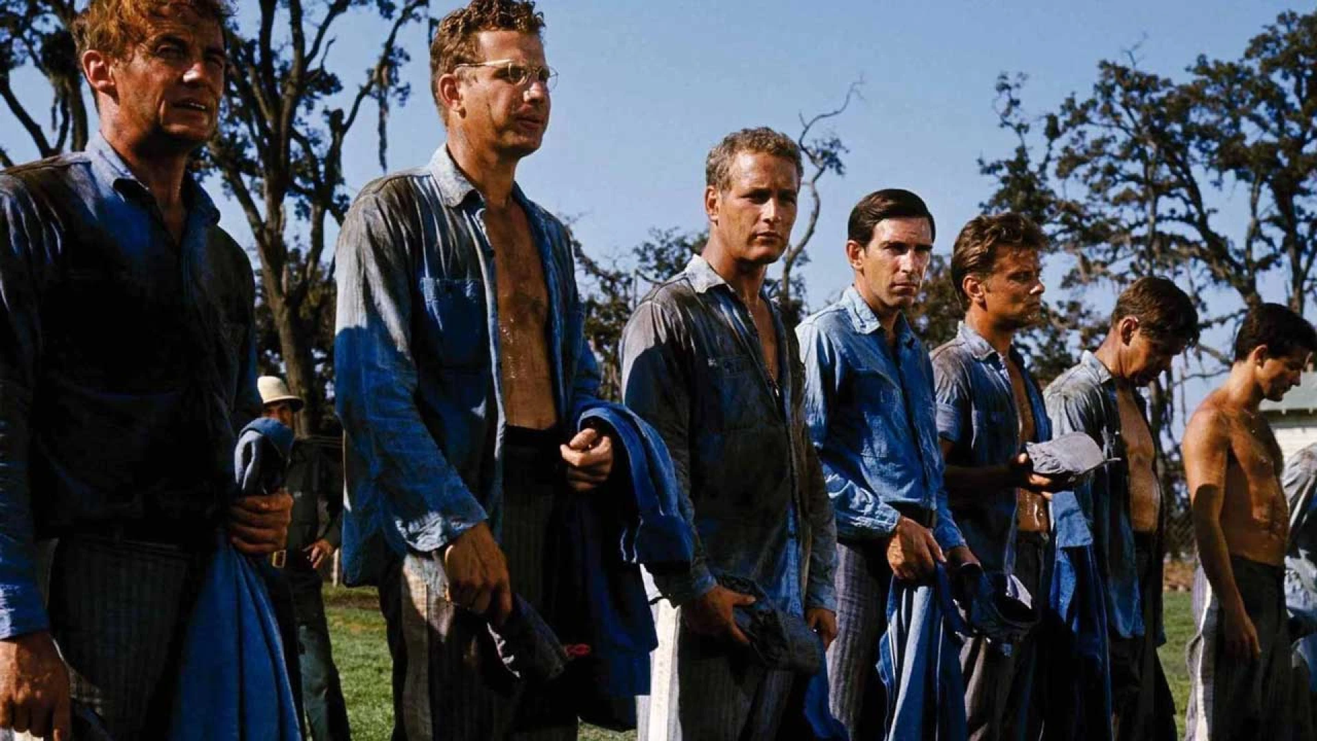 دانلود فیلم Cool Hand Luke 1967
