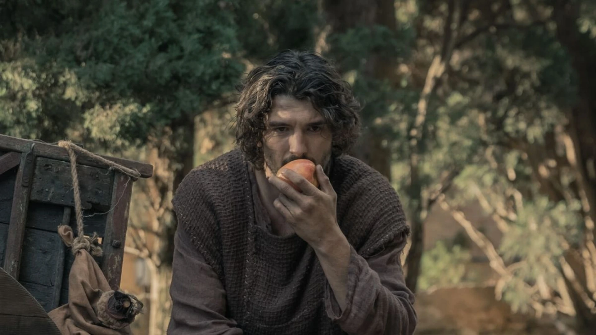 دانلود سریال Heirs to the Land