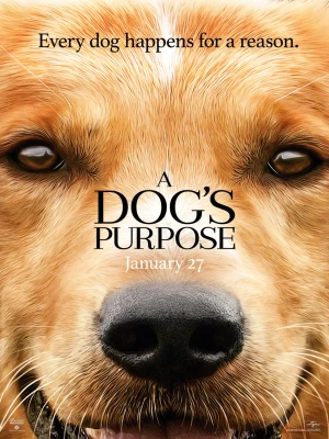 دانلود فیلم A Dog's Purpose 2017