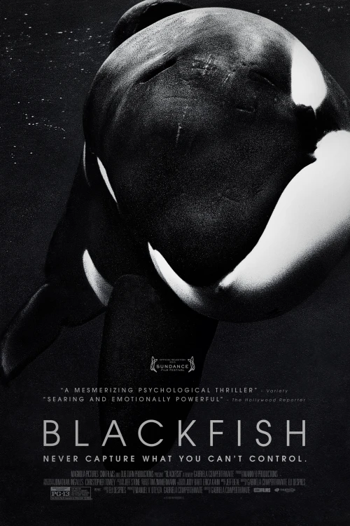 دانلود مستند Blackfish 2013