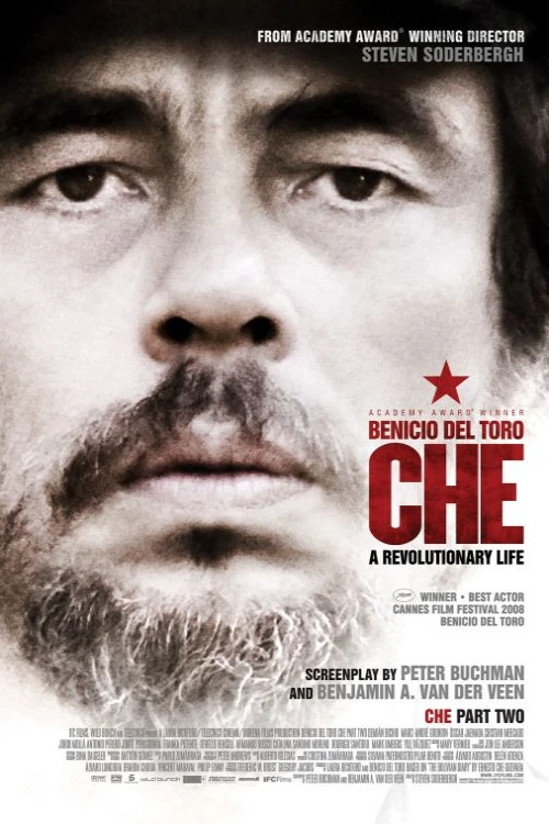 دانلود فیلم Che: Part Two