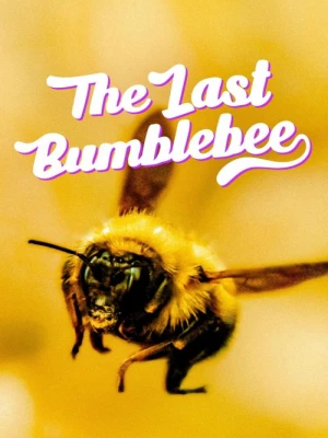 دانلود فیلم The Last Bumblebee 2024