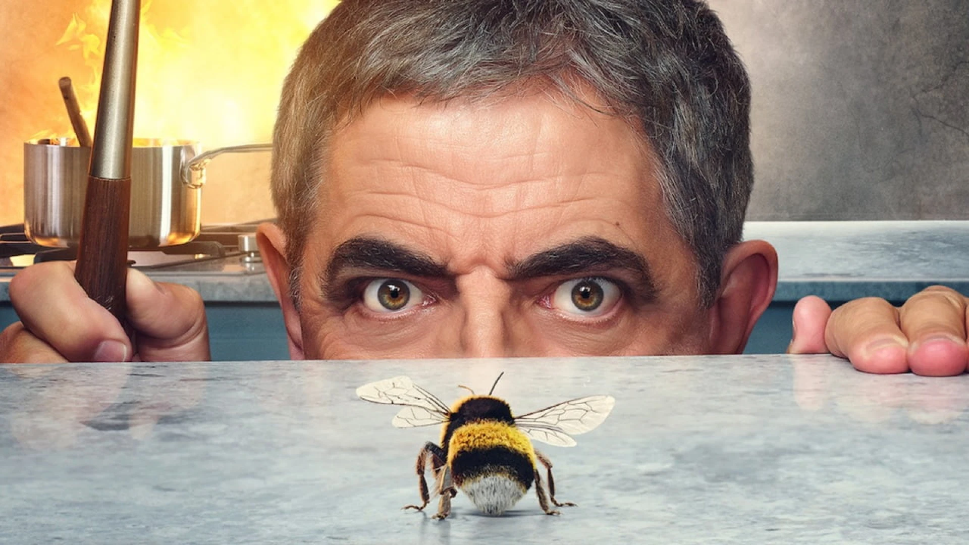 دانلود سریال Man vs. Bee