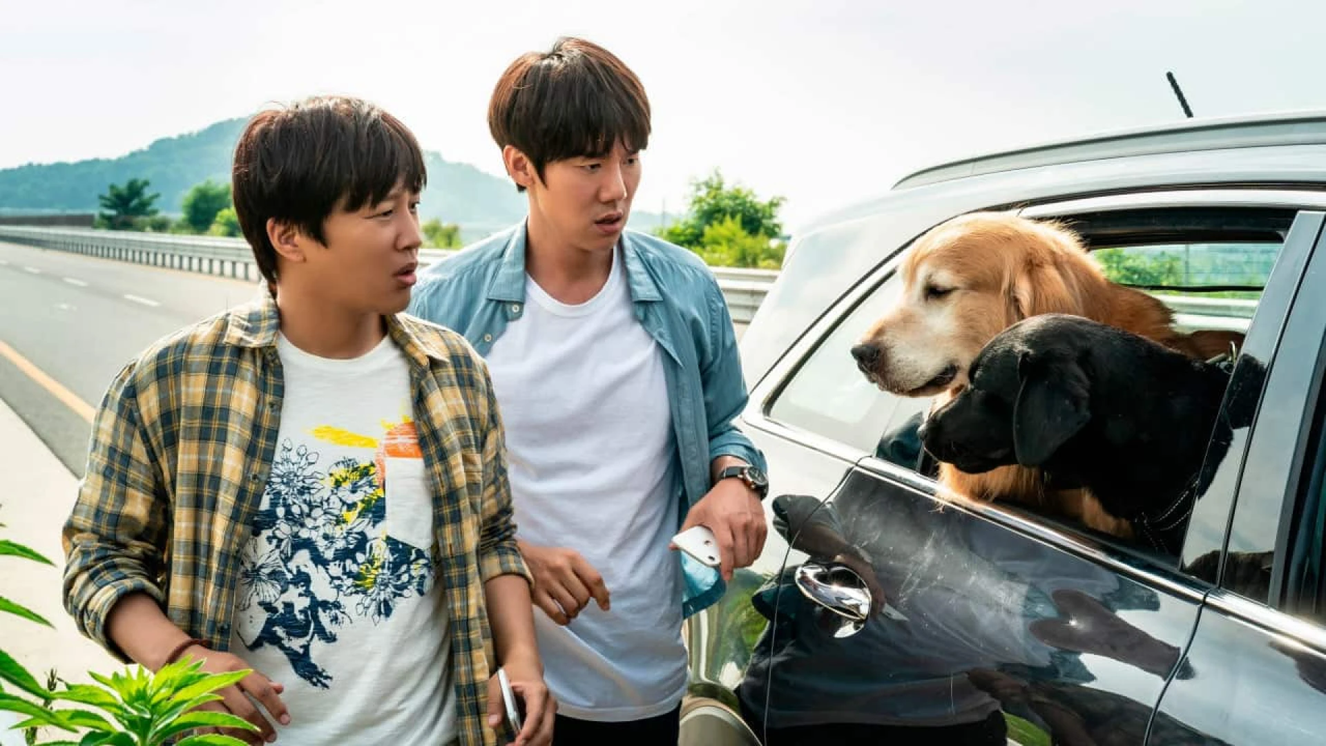 دانلود فیلم My Heart Puppy 2023