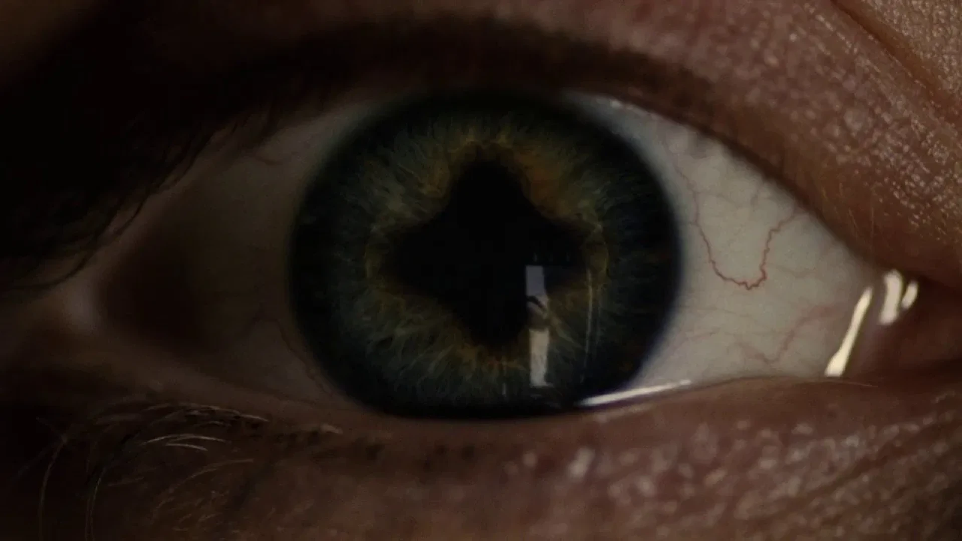 دانلود فیلم Splice 2009