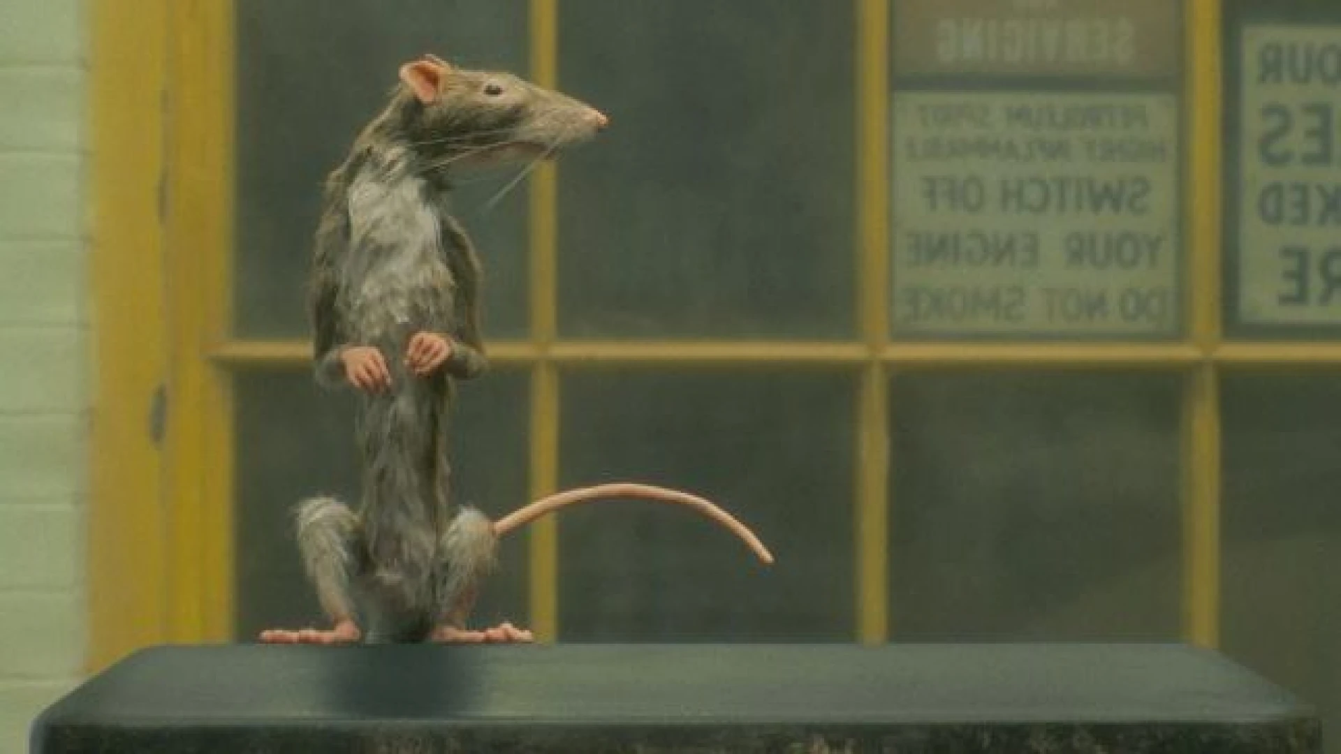 دانلود فیلم The Ratcatcher 2023