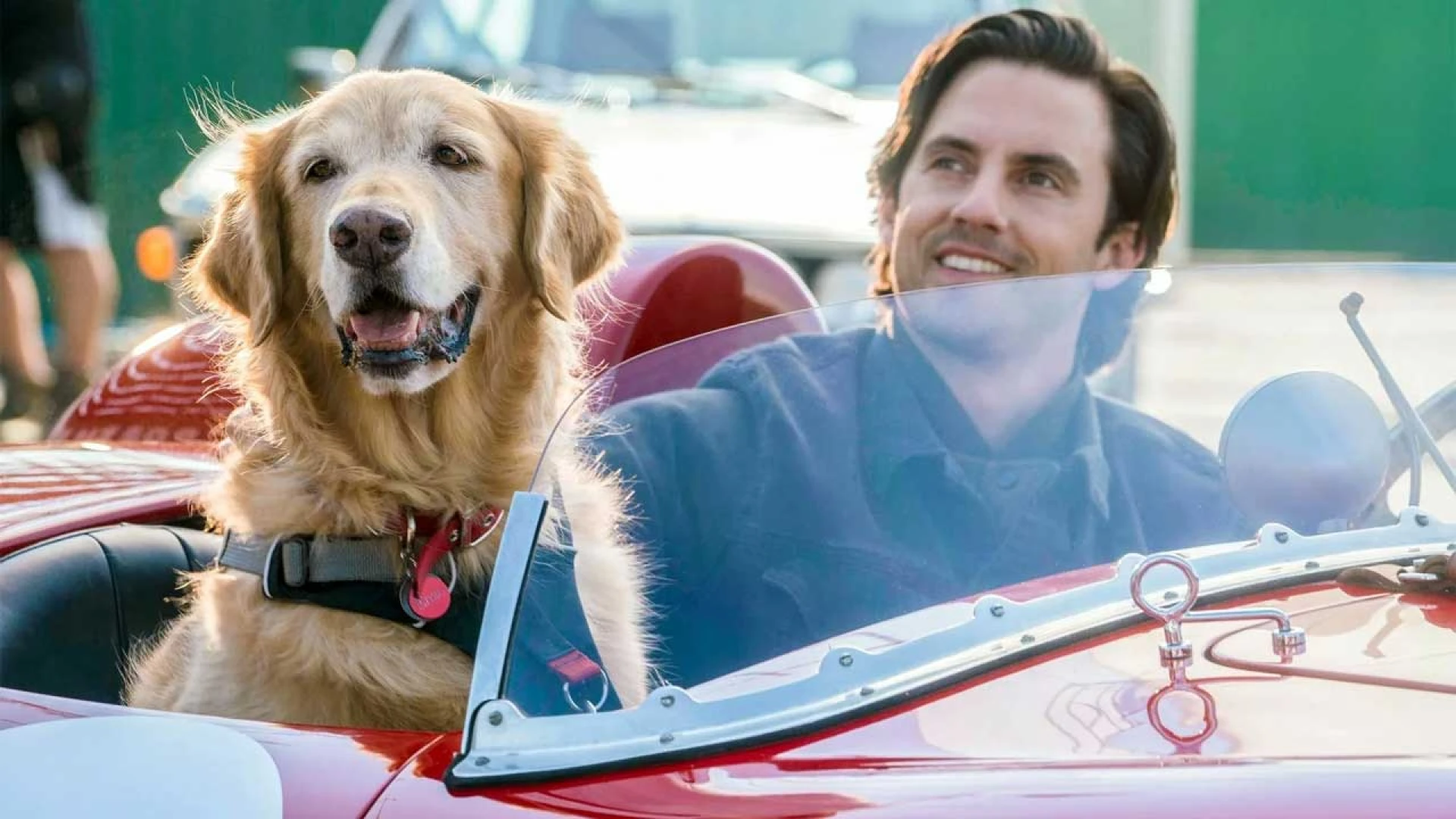 دانلود فیلم The Art of Racing in the Rain 2019