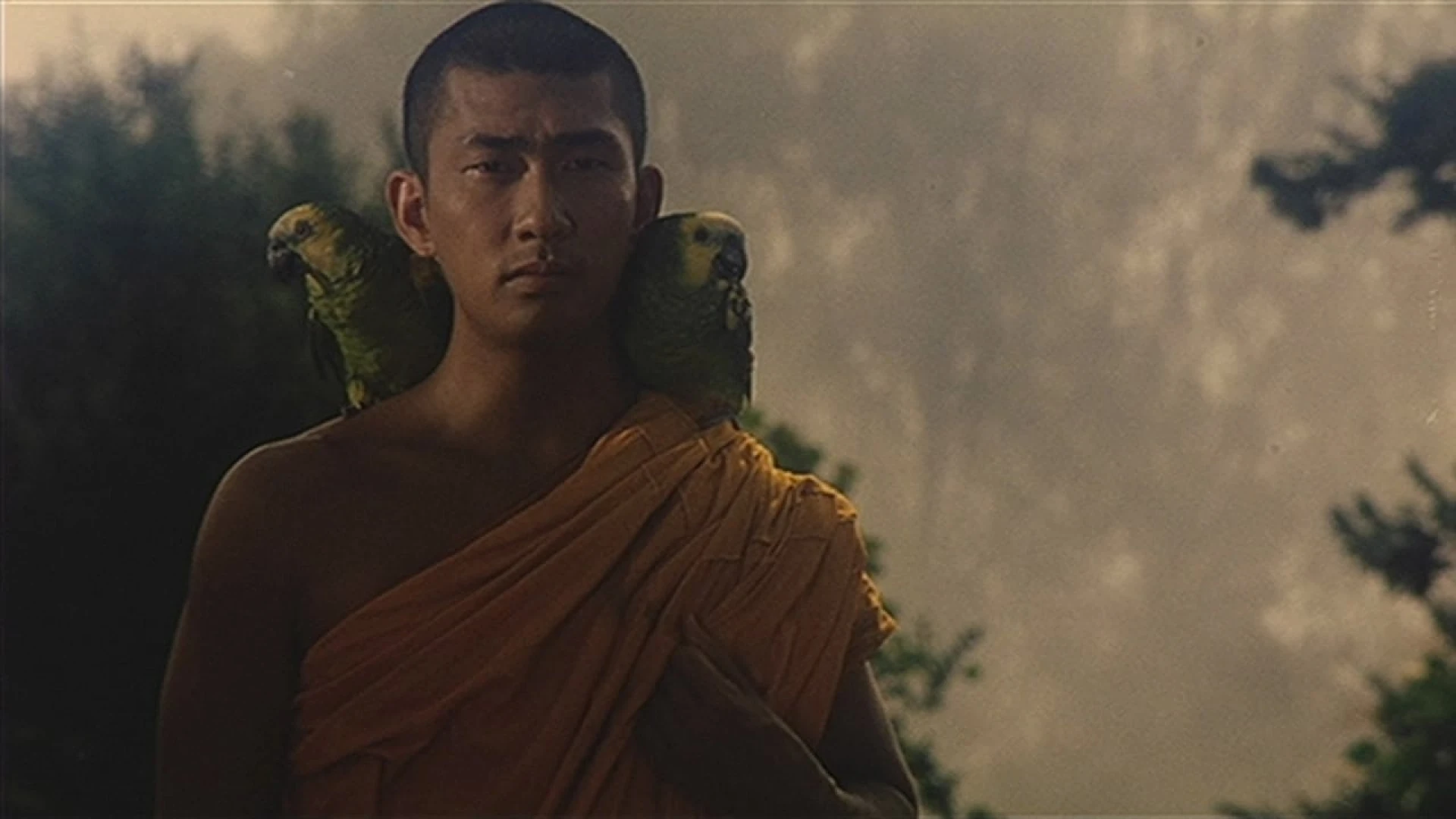 دانلود فیلم The Burmese Harp 1956