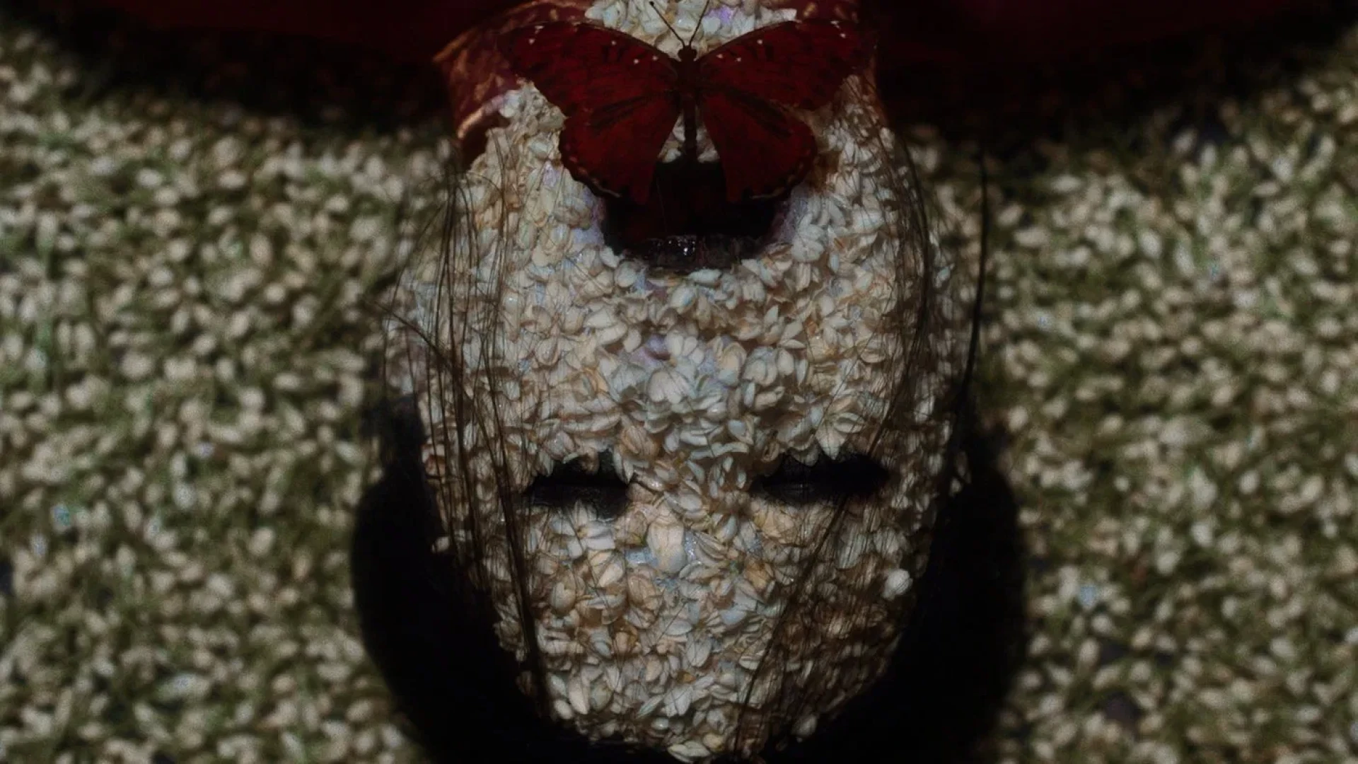 دانلود فیلم The Butterfly House 2025