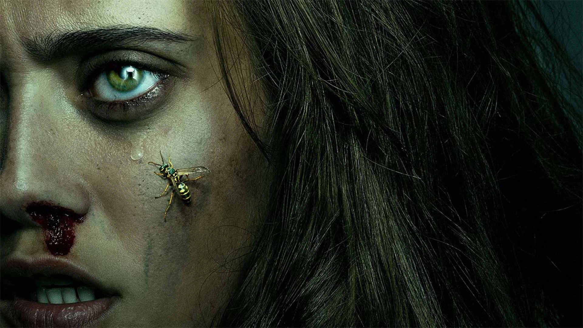 دانلود سریال Yellowjackets