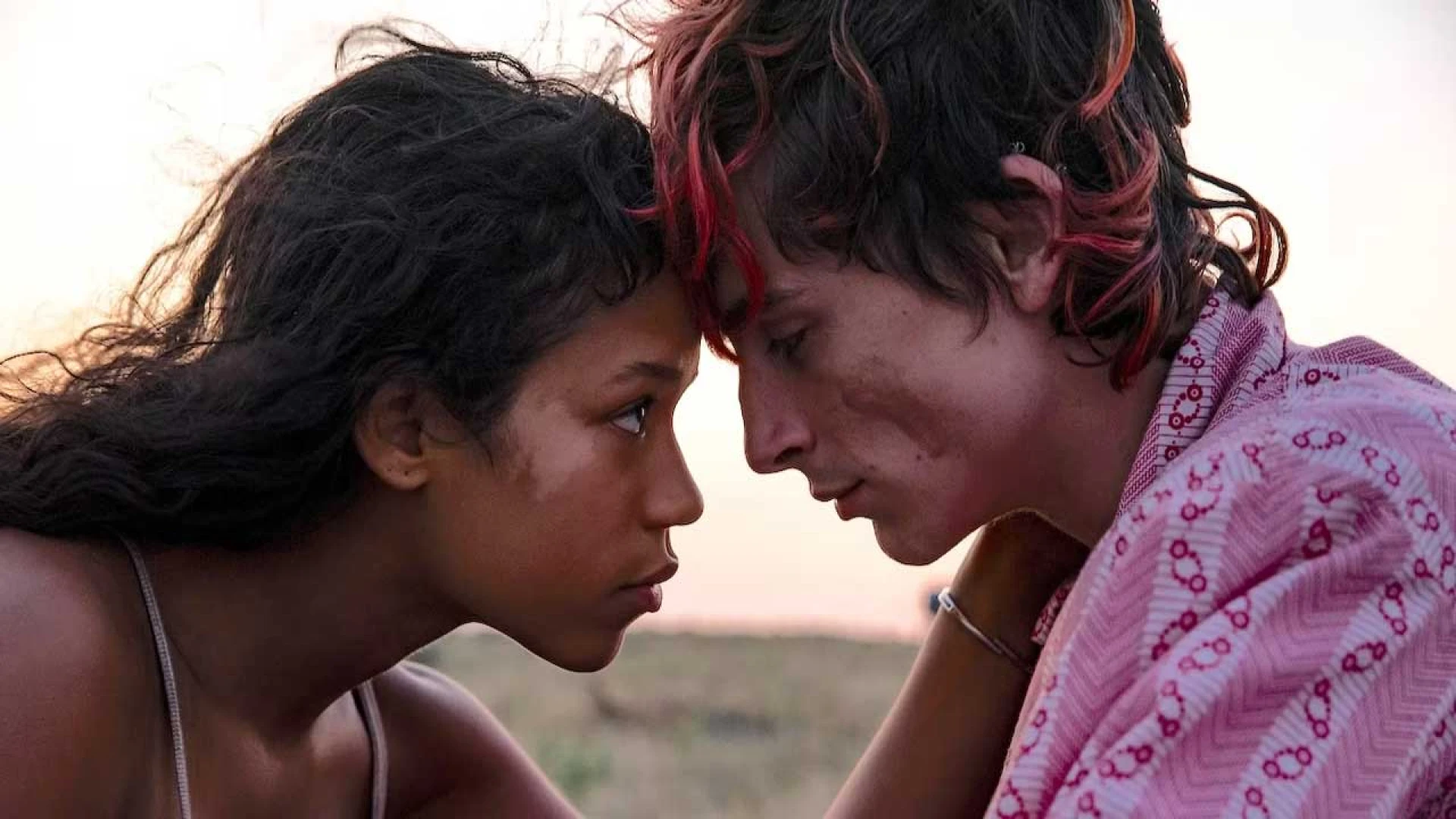 دانلود فیلم Bones and All 2022