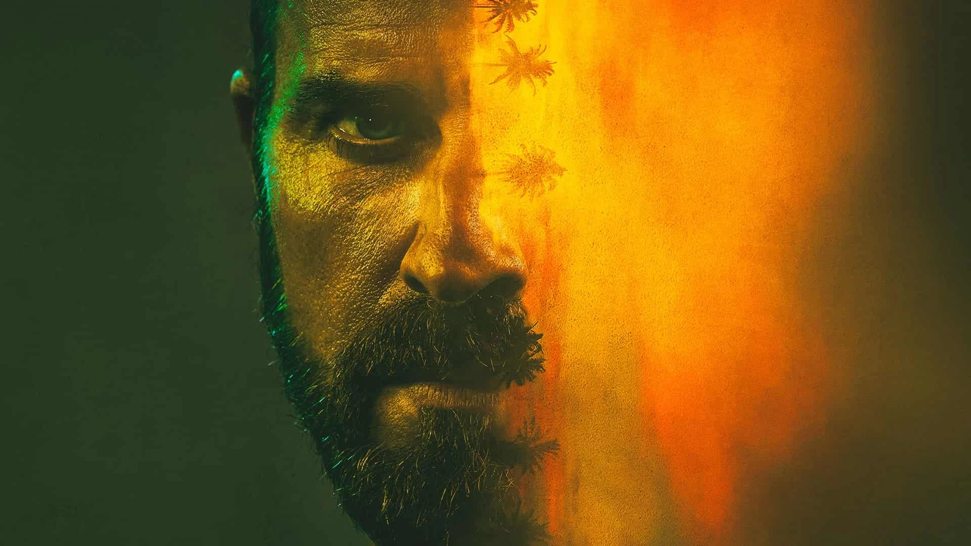 دانلود سریال The Mosquito Coast